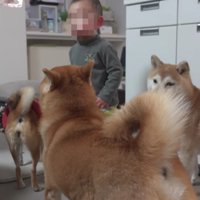 こなれた様子に感嘆