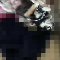 すぐに甘えるように…