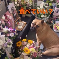 「いいと思う？」