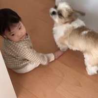 コロくんと赤ちゃんのシンクロ4