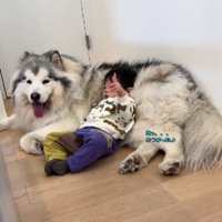 「ママが見てるよ…？」