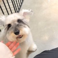 嬉しそうなお顔♪