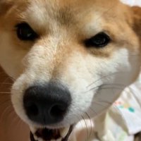 「気付かなくてごめんね！許して♡」