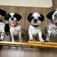 一緒に