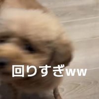 高速回転でフィニッシュ♪