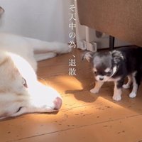 「今はやめとこ…」