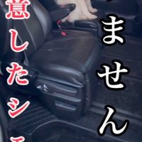 車から降りない