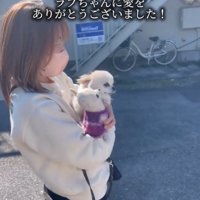 ぬいぐるみを抱っこする犬