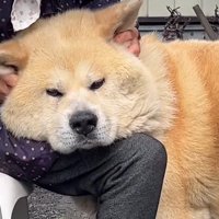 膝枕をしてもらう♡