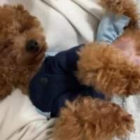 寝相はいつも仰向け！