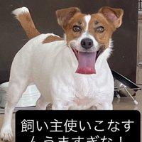 中身は人間！？