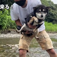 エア犬かきを披露