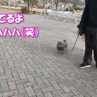 笑いをこらえきれない女性たち