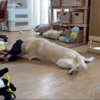「めっちゃ眠いけど参加したいな～…」
