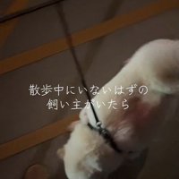 飼い主さんの足元へ