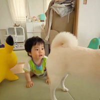 おまめちゃんと赤ちゃん6