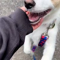 笑顔のソラくん