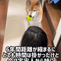 6年後の光景に涙…