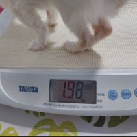 食事を減らされてガリガリに…