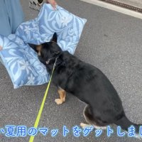 気に入ってくれるかな…？