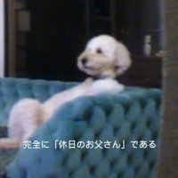 「大谷選手はいつ出るの？」