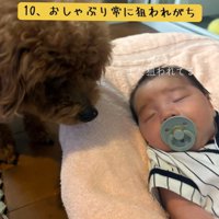 おしゃぶりが気に入ったようです♪