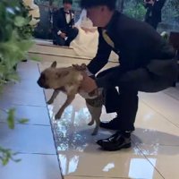最後は捕獲されて…