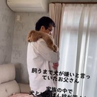 飼い主に抱かれている小型犬