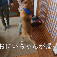 お兄ちゃんも帰宅し、家族が揃うと…