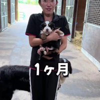 まだまだあどけない…