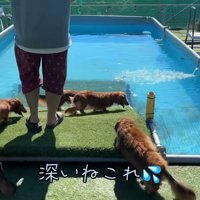 プールに到着