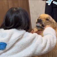 もう1回声をかける娘さん