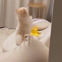 部屋を覗いてみると…