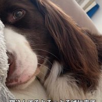 心の支えになっていた…