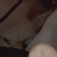 「バレてないよな…？」