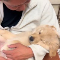 つむぎちゃんを溺愛するお父さん