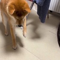 狙いを定めて…