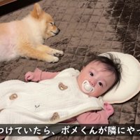 寝かしつけにも挑戦