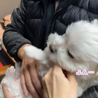 ナナくんとパパさんの再会5