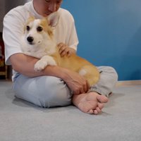 食べ終わったらすぐお膝の上へ