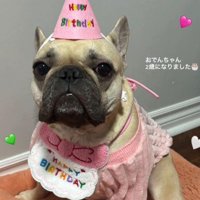 可愛いドレスでお祝い