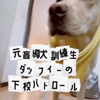 現在は家庭犬に