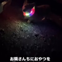 「やっぱりダメみたい…」