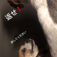 懇願するサナくん