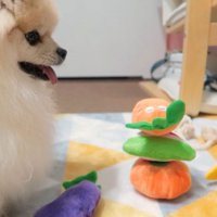 作業を見守っていたかと思いきや…