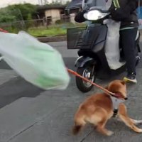 「やっと会えた！」