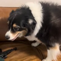 やっと移動してくれた！