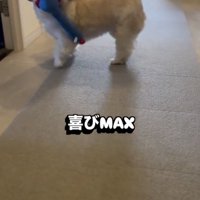 疲れも吹っ飛びます