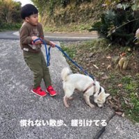 リョウくんとお散歩