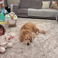 「ハッピーデー♪」